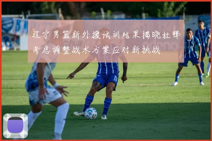 辽宁男篮新外援试训结果揭晓杜锋考虑调整战术方案应对新挑战