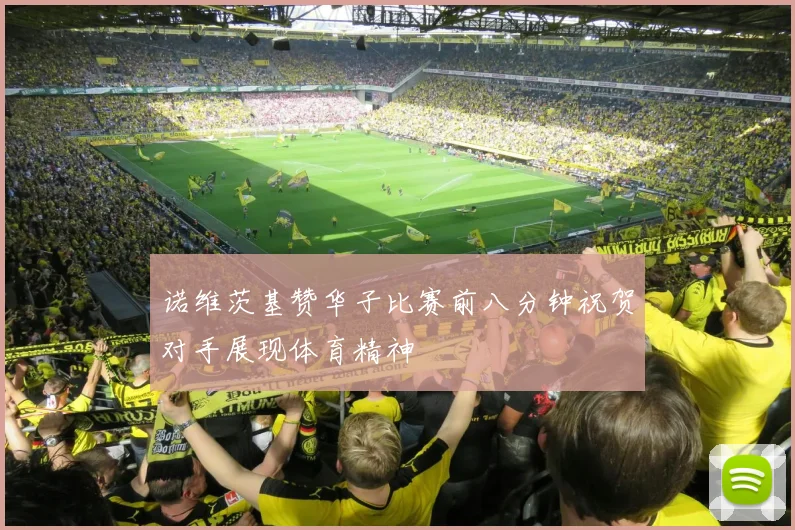 诺维茨基赞华子比赛前八分钟祝贺对手展现体育精神
